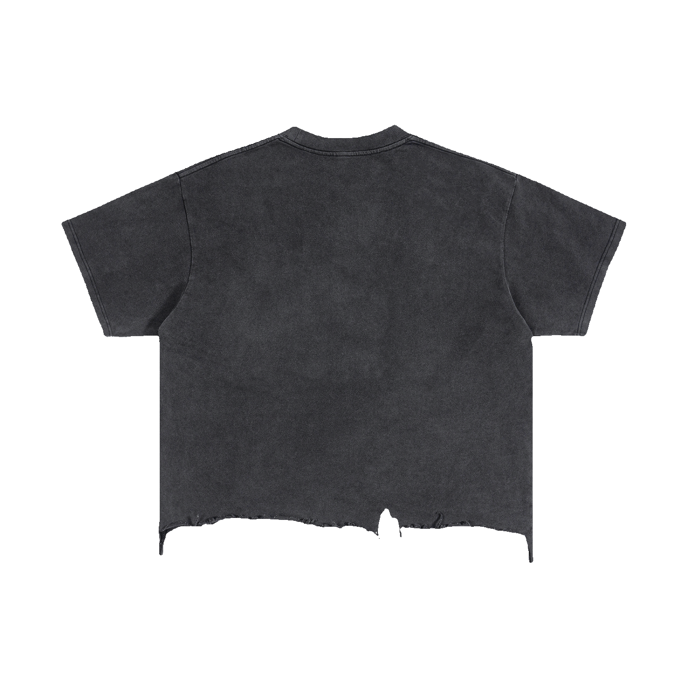 Wild Beast Vintage Wash Boxy Distressed Hem T-Shirt